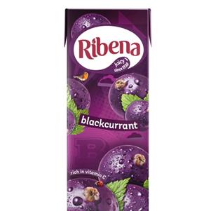 Blackcurrant Carton (24X250ml)