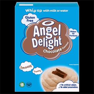 Chocolate Angel Delight (1X600G)