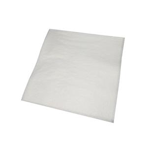 25cm White Serviette (2ply)