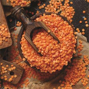 Red Split Lentils