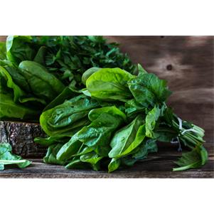 Spinach Portions IQF (30g)