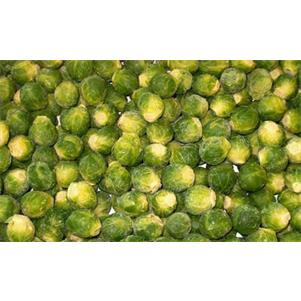 Medium Sprouts (2.5kg)