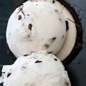 PlantBased Coconut & Choc Ice Cream (5Ltr)