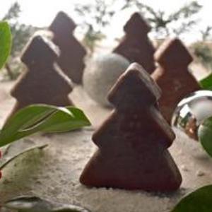 Chocolate Coated Ind Christmas Trees